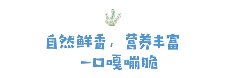 cczjs-bt01.png